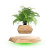 Shop Levitating Bonsai Planter - Goodlifebean Black Friday Sale | Plushies | Giant Teddy Bear